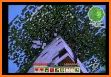 Pokecube Minecraft Ideas related image