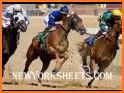 Guaranteed Tip Sheet - Horse Racing Picks related image