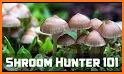 Mushroom Identification related image