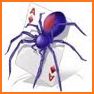 Spider Solitaire - Card Games Free related image