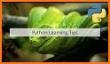 Learn Python Programming Pro related image