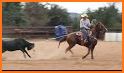 The Team Roping Journal related image