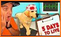 My Pet Dog - Pet World Puppy Game Pet Simulator related image