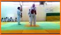 Shorin-Ryu Shorinkan Pro related image