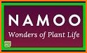 NAMOO - Wonders of Plant Life related image