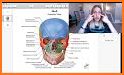 Dental Anatomy Pro. related image