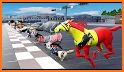 Animal Race ASMR related image