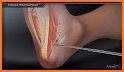 Foot Doctor Clinic : Foot Surgery Hospital Care related image