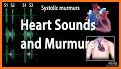 Auscultation - Heart, Lung Sounds, Cardiac Murmurs related image