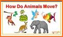 Animals on the Move related image