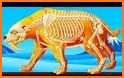 Dino Bone Discovery - Dinosaur Puzzle related image