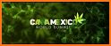 CannaMexico related image