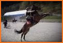 Horse Riding Tales - Ride With Friends related image