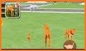 Cat Family Simulator 2021 related image