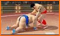 Royal Wrestling Cage: Sumo Fighting Game related image