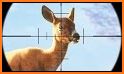 Wild Deer Sniper Hunting : Animal Shooting Games related image