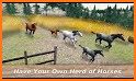 Horse Stable: Herd Care Simulator related image