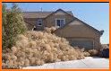 Tumbleweed related image