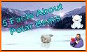 Polar Bear Cub for kids 3-5 related image