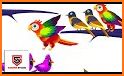 Color Bird Sort Puzzle Games related image