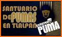 Pasión Pumas de la UNAM related image