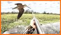 Real Bird Hunting Adventure: Bird Shooting Games related image