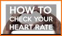 Heart Rate Monitor - Check Your Heart Rate related image