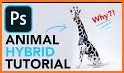 Hybrid Animal Photo Editor related image