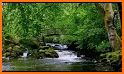 Nature Sounds :Peaceful, Sleep, Relax, Anti Stress related image