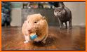 MouseHunt World related image