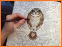 Owl Coloring-Book∙ Drawing for Kids related image