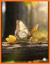 Butterflies - Talk to Real AIs related image