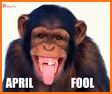 April Fool  GIF & Images related image