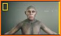 Homo Evolution: Human Origins related image