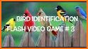 North American Bird ID Quiz related image