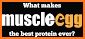 MuscleEgg related image