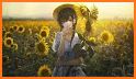 Sunflower Clock Live Wallpaper related image