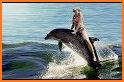 Dolphin Riders related image