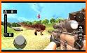 Wild Bear hunting FPS Game 2021 related image