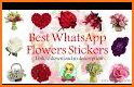 Flowers Roses Stickers (WAStickerApps) related image