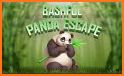 Bashful Panda Escape related image