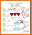 All Nursing Mnemonics & Tips. related image