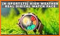 Destiny: Digital Watch Face related image