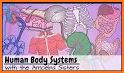 Human Anatomy and Physiology: Bones and Organs related image