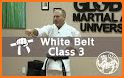 Learn Karate - Video Training Technical Classes related image