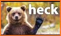 Bear Simulator - Animal Simulator related image