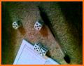 Triple Yahtzee Score Sheet related image