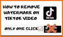 Video Downloader for TikTok - Tikmate Free related image