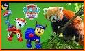 Ryder Go Kart - Paw Puppy Patrol Kart Racing related image