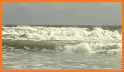 Florida Currents,Tides Weather related image